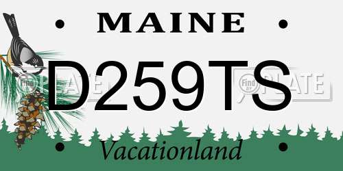 D259TS Maine License Plate