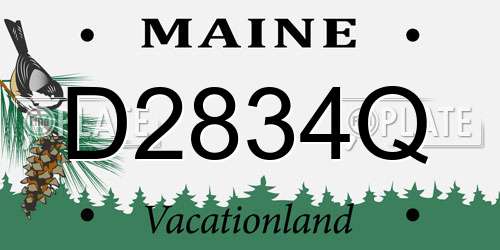 D2834Q Maine License Plate
