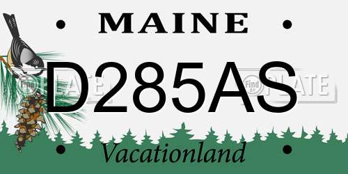 D285AS Maine License Plate