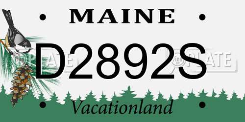 D2892S Maine License Plate