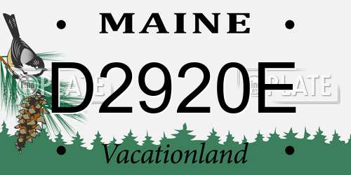 D2920E Maine License Plate