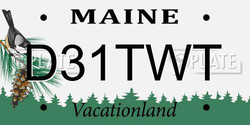 D31TWT Maine License Plate