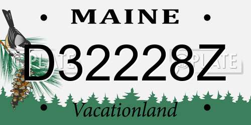 D32228Z Maine License Plate
