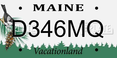D346MQ Maine License Plate