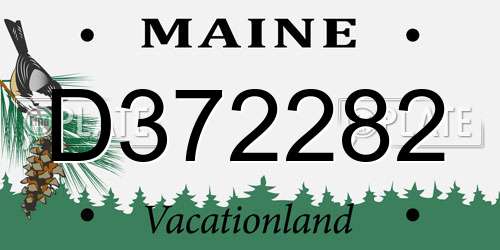 D372282 Maine License Plate