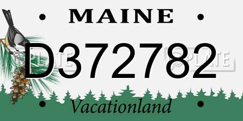 D372782 Maine License Plate
