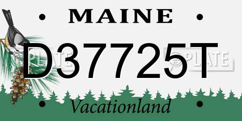 D37725T Maine License Plate