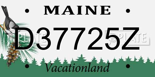 D37725Z Maine License Plate
