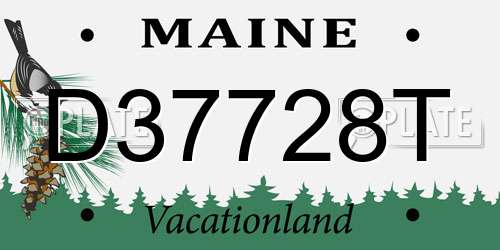 D37728T Maine License Plate