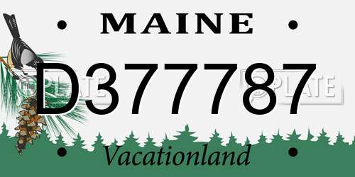 D377787 Maine License Plate