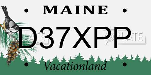 D37XPP Maine License Plate