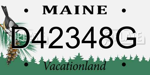 D42348G Maine License Plate