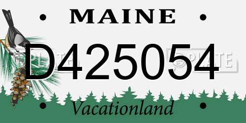 D425054 Maine License Plate