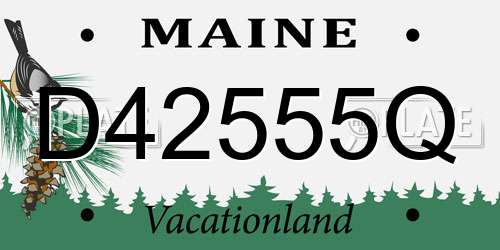 D42555Q Maine License Plate