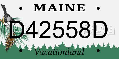 D42558D Maine License Plate