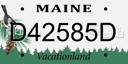 D42585D Maine License Plate