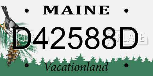 D42588D Maine License Plate