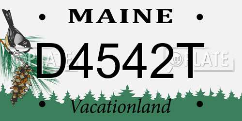 D4542T Maine License Plate