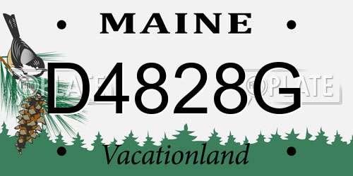 D4828G Maine License Plate
