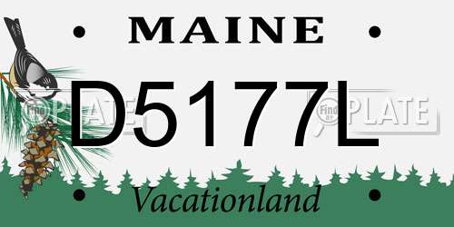 D5177L Maine License Plate