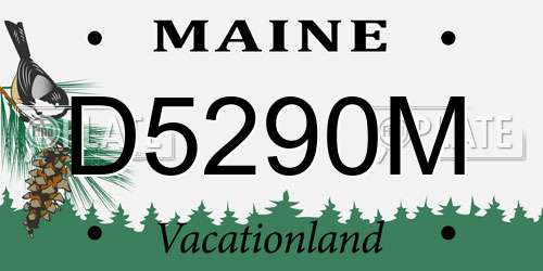 D5290M Maine License Plate