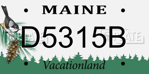 D5315B Maine License Plate