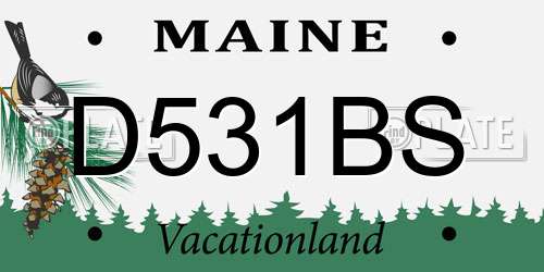 D531BS Maine License Plate