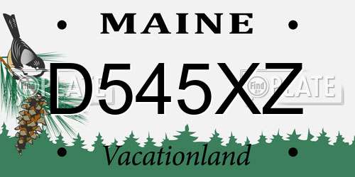 D545XZ Maine License Plate