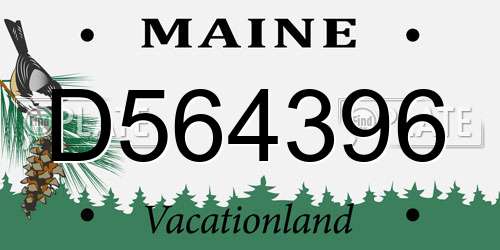 D564396 Maine License Plate