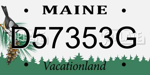 D57353G Maine License Plate