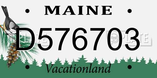 D576703 Maine License Plate