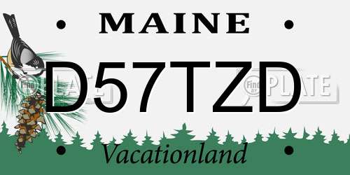 D57TZD Maine License Plate