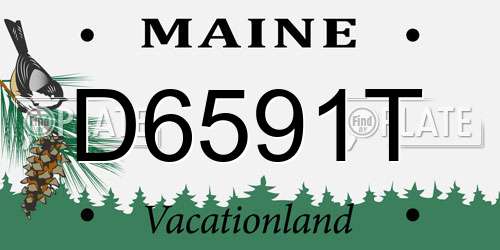 D6591T Maine License Plate