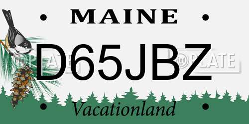 D65JBZ Maine License Plate