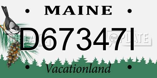 D67347I Maine License Plate
