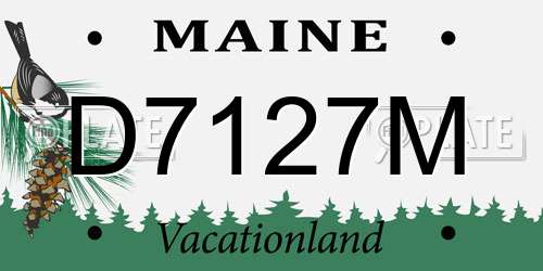 D7127M Maine License Plate