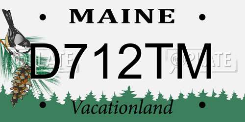 D712TM Maine License Plate