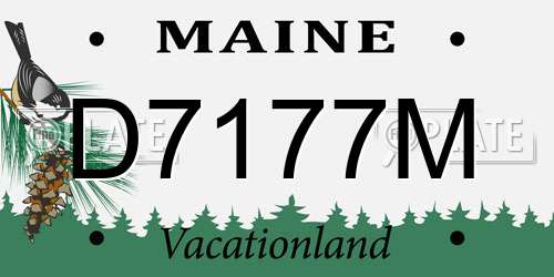 D7177M Maine License Plate