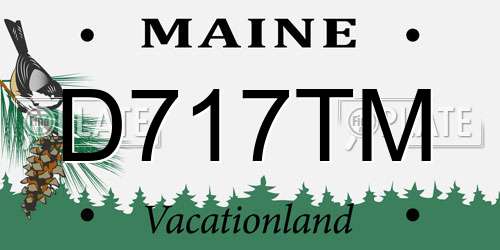 D717TM Maine License Plate