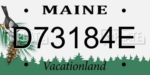D73184E Maine License Plate