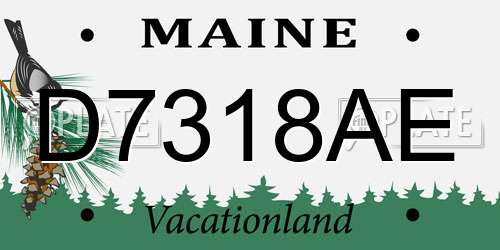 D7318AE Maine License Plate