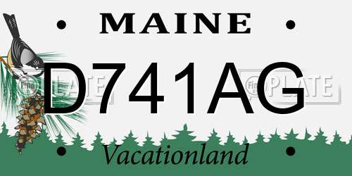 D741AG Maine License Plate