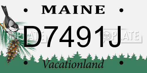 D7491J Maine License Plate