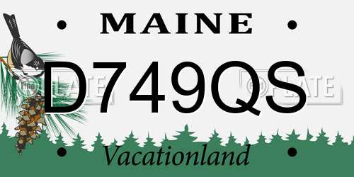 D749QS Maine License Plate