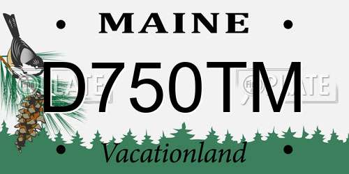 D750TM Maine License Plate