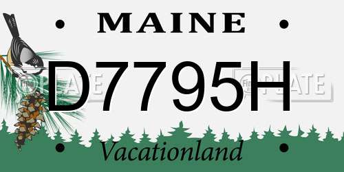 D7795H Maine License Plate