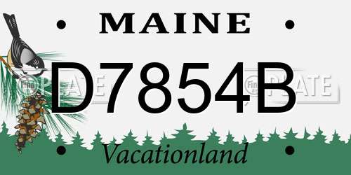 D7854B Maine License Plate