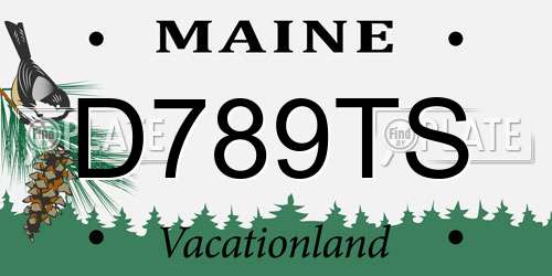 D789TS Maine License Plate