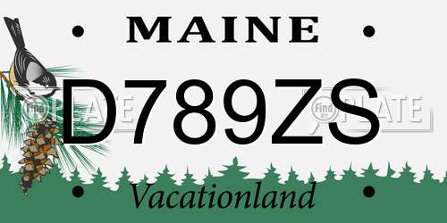 D789ZS Maine License Plate