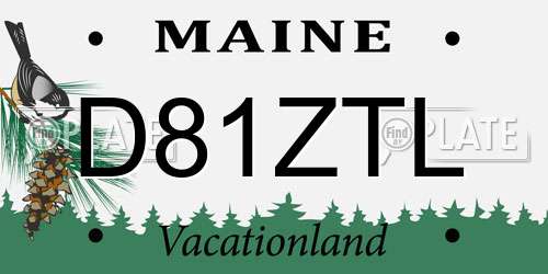 D81ZTL Maine License Plate
